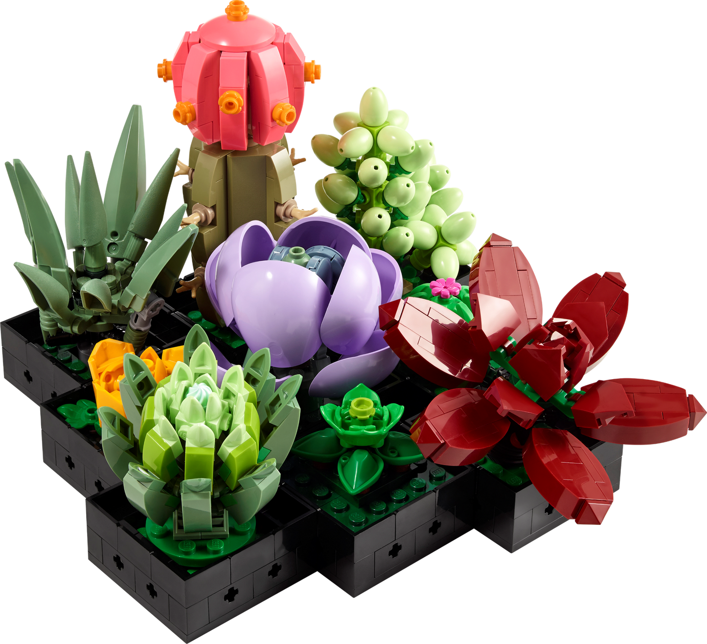 LEGO Icons: Botanical Collection Succulents 10309